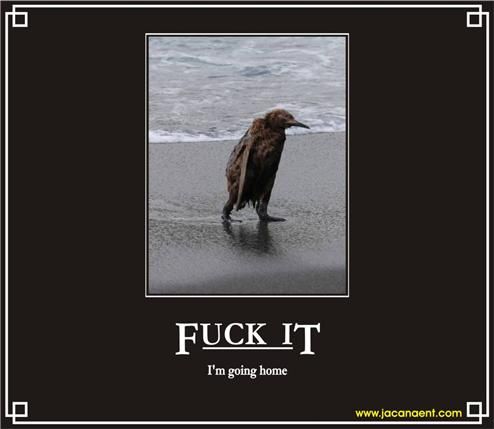 fuckit_zps233cec9a.jpg