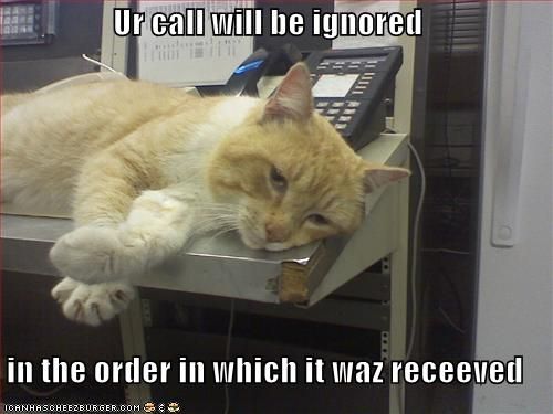 funny-pictures-cat-ignores-your-phone-ca