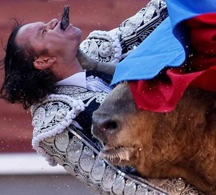 matador.jpg
