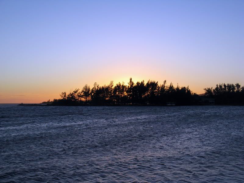 IMG_3723.jpg