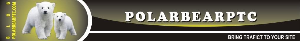 PolarBearPTC - Not just traffic!