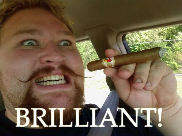 http://i838.photobucket.com/albums/zz304/votblindub2/Random/brilliant.jpg