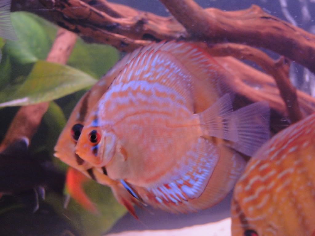 DSC01410.jpg