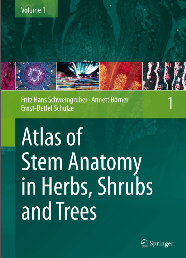 Cannabis Guides Collection PDF eBooks