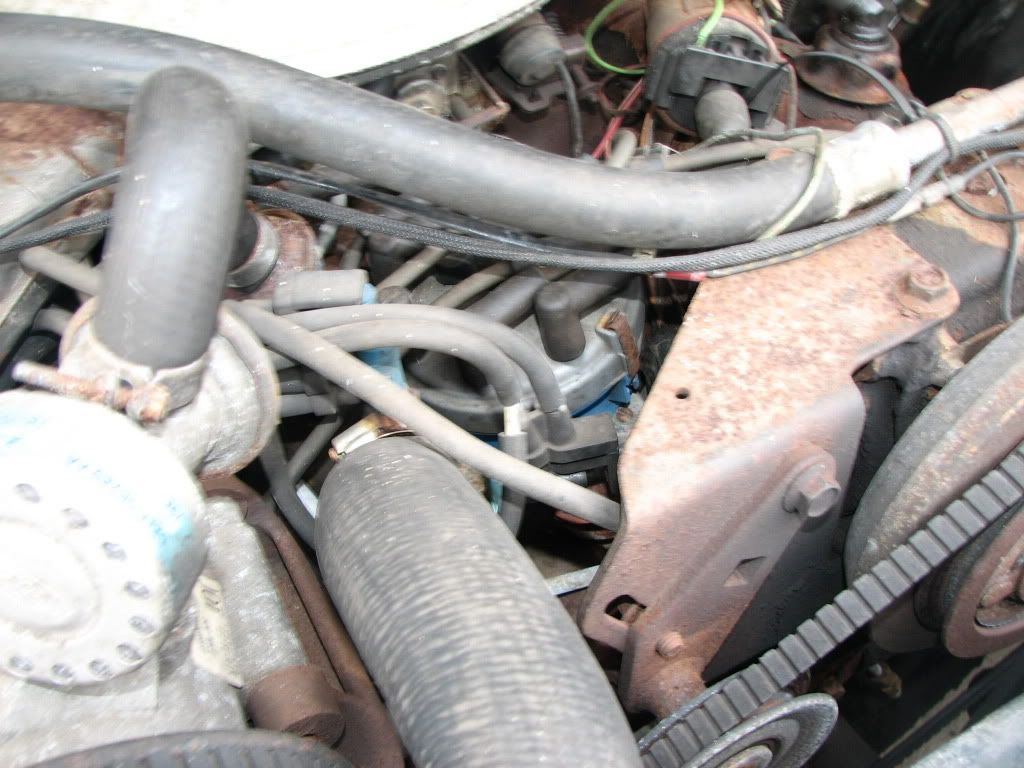 Need help identifying my engine | Bronco Forum - Full Size Ford Bronco