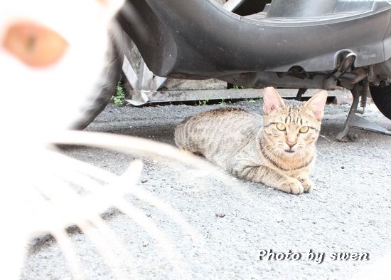 photo IMG_9089_zps80d90650.jpg