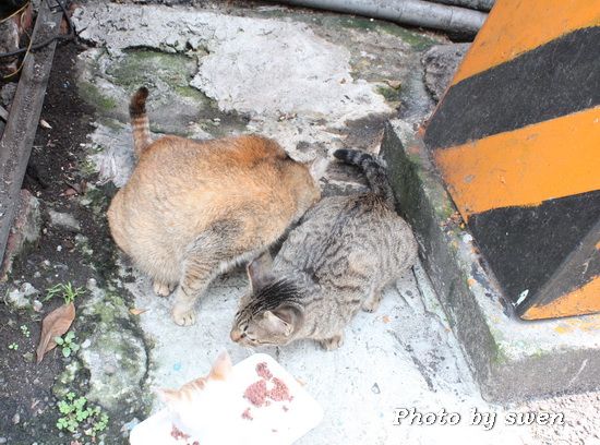 photo IMG_9104_zps88695ad7.jpg