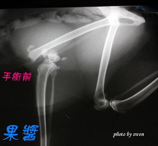 photo A2_zpsfbba431c.jpg
