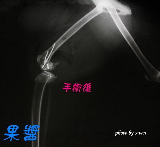 photo A4_zps8929cb86.jpg
