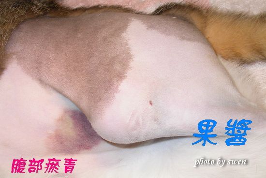 photo A6_zps9f147a34.jpg