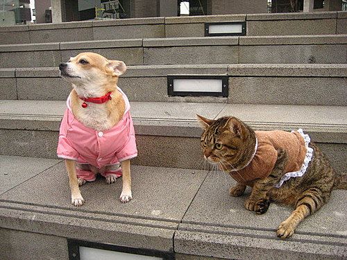 photo 028_zpsf48ea4ad.jpg