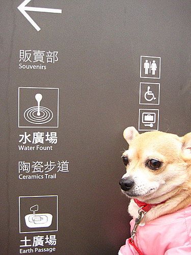 photo 030_zpsb500916f.jpg