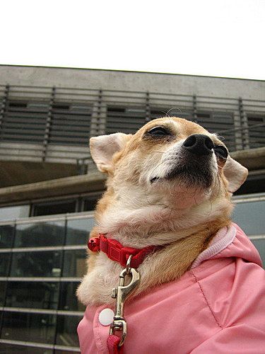photo 035_zpsec73b1f2.jpg