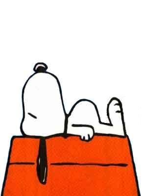 Imagen Enviada
