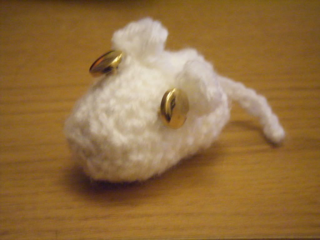 DSCF0994.jpg