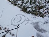 A little snow drawing.