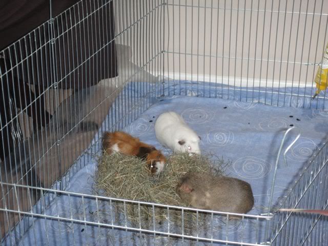 DSC00674.jpg