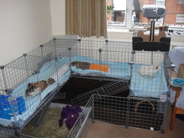 DSC00682.jpg