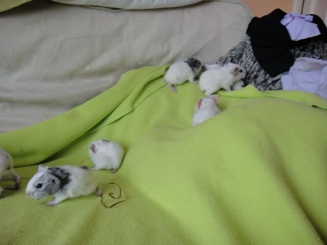 DSC01149.jpg