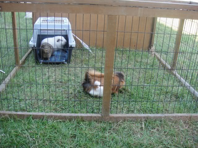 DSC02199.jpg